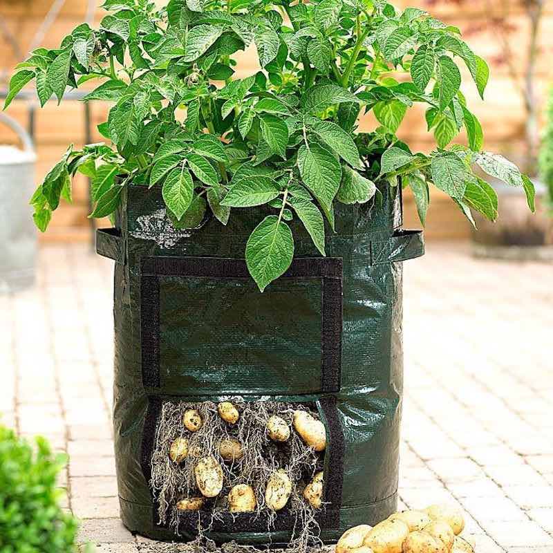 Potetbag - Plant Grow Bag